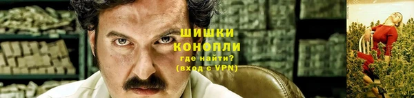 PSILOCYBIN Белоозёрский