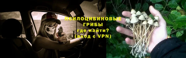 дурь Богородск