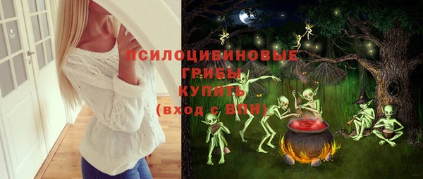mix Белокуриха